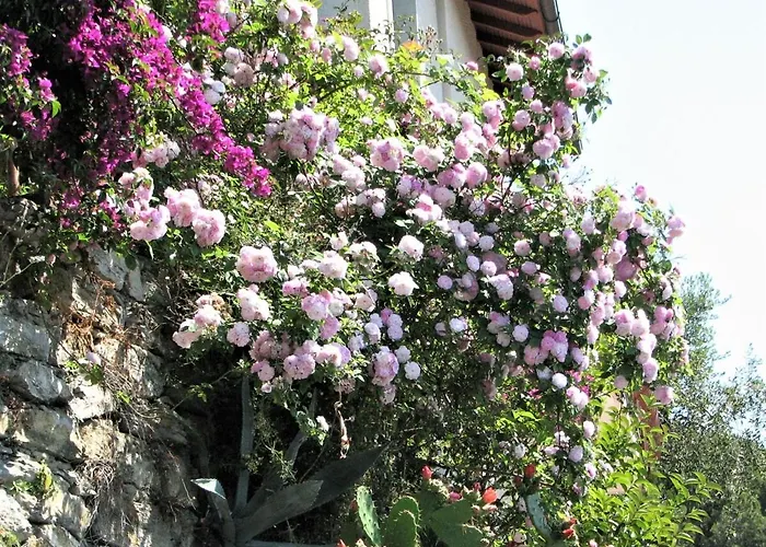 With A Stunning Sea View Pool Tennis *