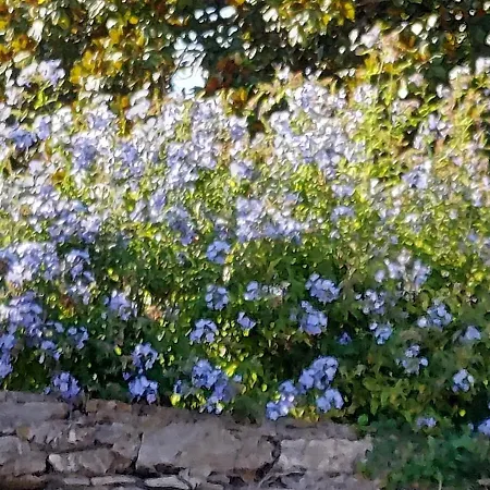 With A Stunning Sea View Pool Tennis Rapallo