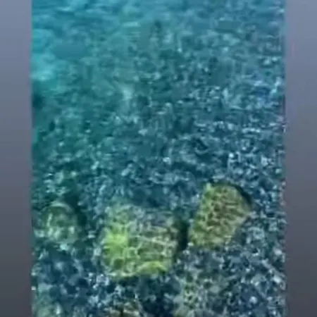 Appartement With A Stunning Sea View Pool Tennis Rapallo