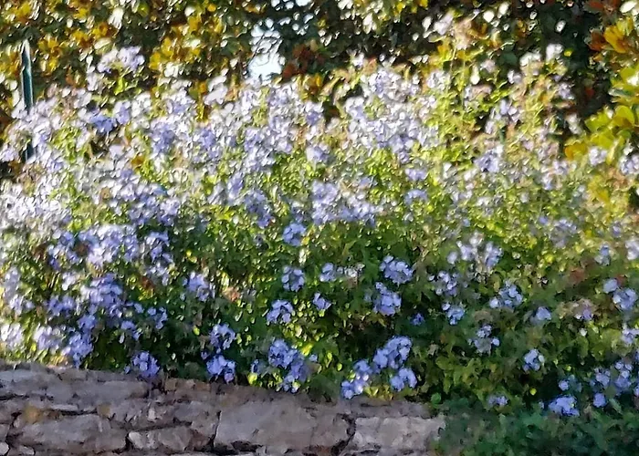 With A Stunning Sea View Pool Tennis Rapallo