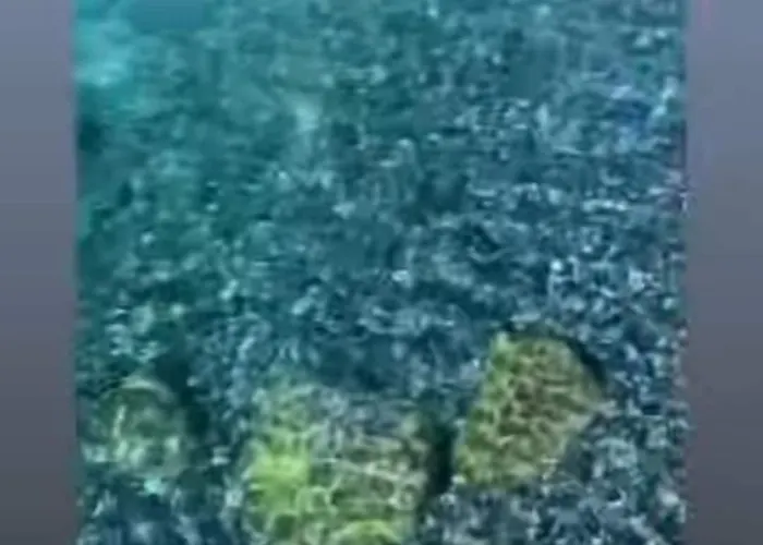 公寓 With A Stunning Sea View Pool Tennis 拉帕洛